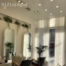 필리아 헤어 이미지