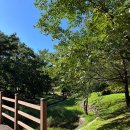 용두산산림욕장 네이버블로그