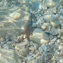 흐바르 에메랄드 해변가 Pokonji dol Beach 후기