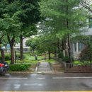 설성공원 이미지