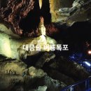 숲속의 샘물 캠핑장 | 2025년 6월 강원도 가볼만한 곳 TOP 5｜숨은 여행지 추천