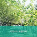 선양시니어빌리지 이미지