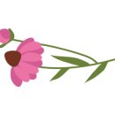 마마쿡 - 강동구 양재대로 1485 | 마마쿡