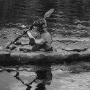 보문그린 이미지