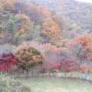 라라코리아인터내셔날(주) 이미지