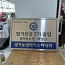 부자농장 | 남양주 딸기체험 추천 별마을 딸기농장 아이랑 가볼만한곳 후기