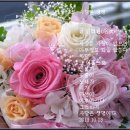 냇가에앉아서 이미지