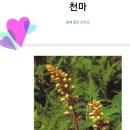 들풀농장 이미지