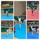 리더스태권도 이미지