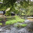 [구마모토] 10/3~8 별거 없는 후기 입니다. 이미지