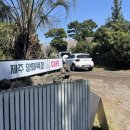 평화목장 | <제주투어패스> 카페 오알/제주 양떼목장/제주도민 데이트 솔직 후기 !!