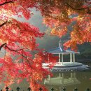 영등동-63 이미지