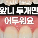 연세그리다치과교정과치과의원 네이버블로그