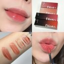 딘토 블러글로이 틴트 발색 204 모데스티아 210 레베렌티아 251 팍스로마나 252 메멘토모리