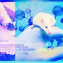 주식회사 마인드포트 MIT Technology Review 코리아