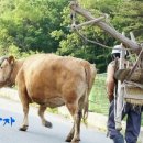 서울가나 이미지