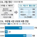 CXL 📁 한미반도체, 엑시콘, 네오셈, 퀄리타스반도체, 심텍, 큐알티, 티엘비 이미지