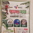 하버드앵무새카페 이미지