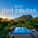 산방산 뷰에 수영장까지! 제주 담모라 호텔&리조트 후기