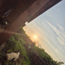 원오클락 이미지