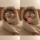 가을추 네이버블로그