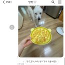 이노티 안경 울산화정점 | 우와 개강이네 기분 개 강네