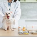 기장하나동물약국 이미지