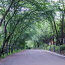 승학산 배드민턴장 이미지