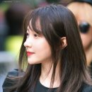 하니헤어 이미지