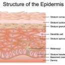 아이케이의원 이미지