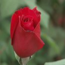 별7080 이미지