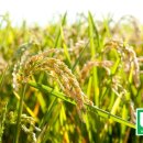 로뎀축산 이미지