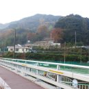 노디목민박 이미지