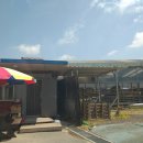 춘천흑염소도축장 이미지