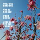 부국