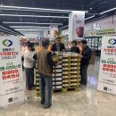 영동할인마트 충청타임즈