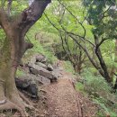 천마산10리길 이미지