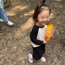 도토리 어린이집 일원 | 전북 전주 2024년 어린이집 부모와 함께하는 숲체험