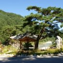 대화초 개수분교장 이미지