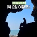 초원갈매기 | 군산 부안 1박2일 뚜벅이 국내 소도시 여행 코스 추천 전라북도 가볼만한곳