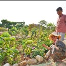 엄마의 정원 이미지