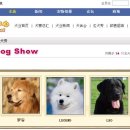 제일애견 이미지