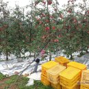 교선농장 이미지