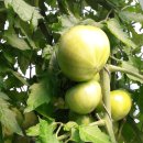 승재농장 이미지