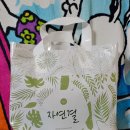 샴푸추천 올린느 샴푸트리트먼트 사용후기