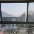 투로맨틱버즈