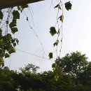 소사고등학교 이미지