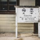 홍천군산림조합종합건재 | 강원도 여행 필수 액티비티 TOP6 – 짜릿한 체험과 힐링의 균형