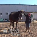 승자농장 이미지