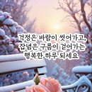연신유도체육관 이미지